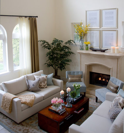 traditional living room by A.S.D. Interiors - Shirry Dolgin, Owner