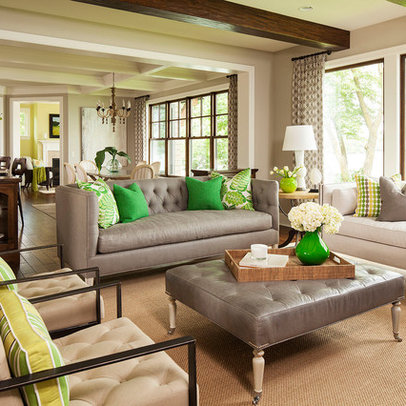 Design Modern Living Room on Minneapolis Home Green Design Ideas  Pictures  Remodel  And Decor