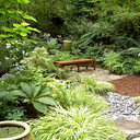 Landscaping Ideas Shady Areas Design Ideas, Pictures, Remodel, and ...