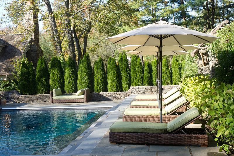 traditional pool by Conte & Conte, LLC