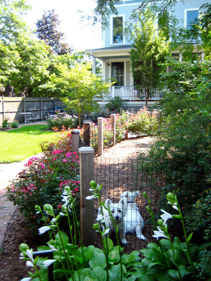 8 Backyard Ideas to Delight Your Dog | Orson Klender ...