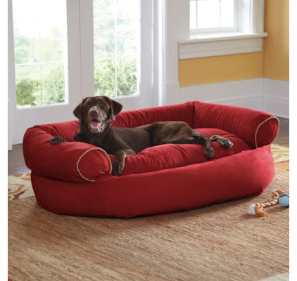 contemporary pet beds by Grandin Road