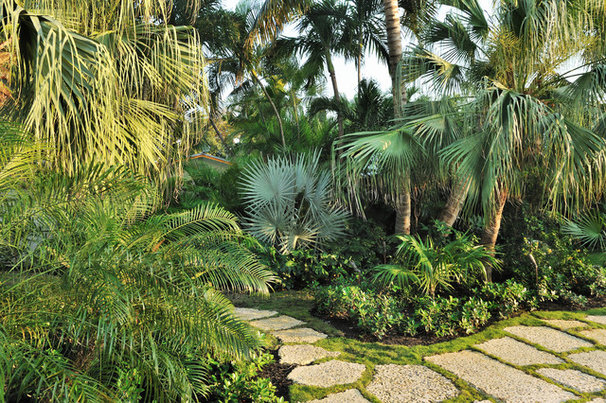 Tropical Landscape by Craig Reynolds Landscape Architecture
