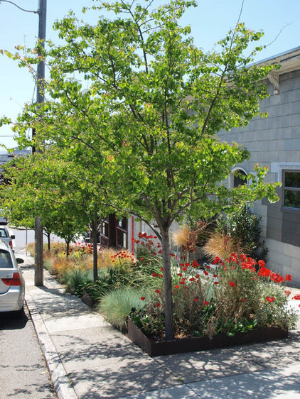 parking lot landscaping plan