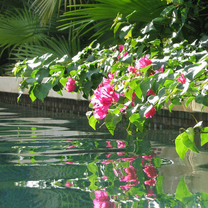 asian pool Balinese Asian Garden