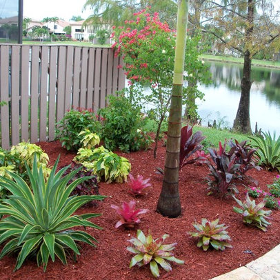 Tropical Front Yard