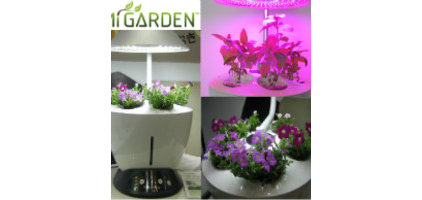 contemporary indoor pots and planters by indiegogo.com