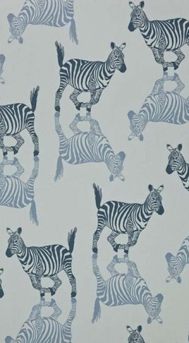 Furry Zebra Print Wallpaper For Walls
