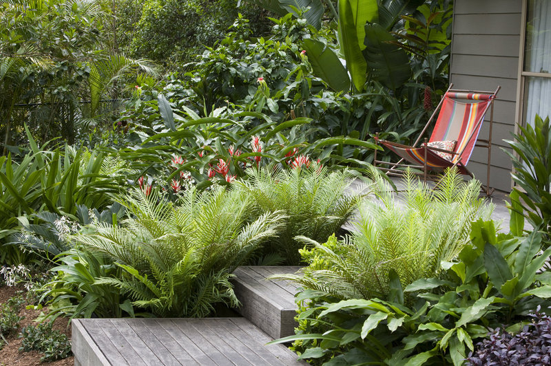 Tropical Landscape by Secret Gardens