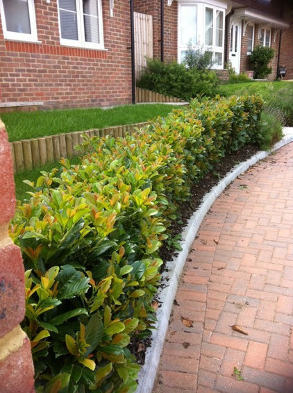 Low-Growing Hedges That Make Good Neighbors