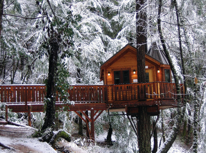 11 Amazing HomeAwayFromHome Tree Houses