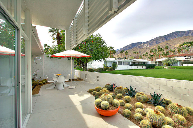 midcentury patio by Bella Vita Garden Design