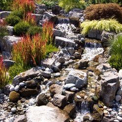  water runoff system into an eye-catching accent for your landscape