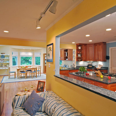 Kitchen Remodeler on Concept Living Room Kitchen Design Ideas  Pictures  Remodel  And Decor