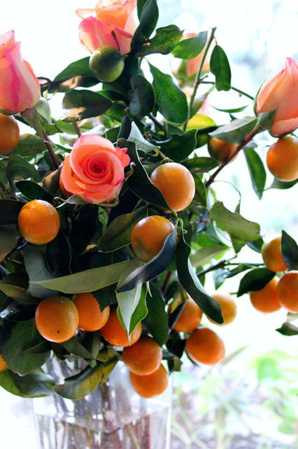 Grow Kumquats to Add Zing to your Winter