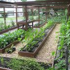 Sloggers Floral Print Women's Garden Shoe - Contemporary - by Ace Hardware