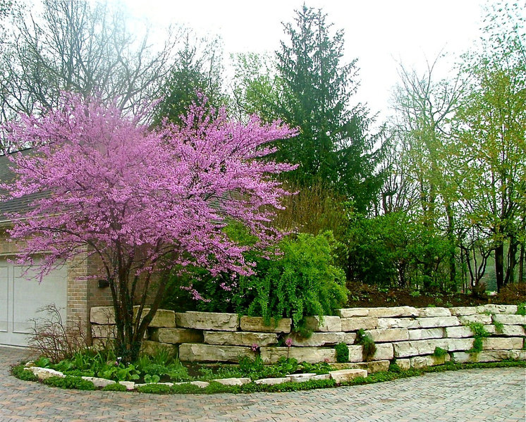 Traditional Landscape by The American Gardener, LLC