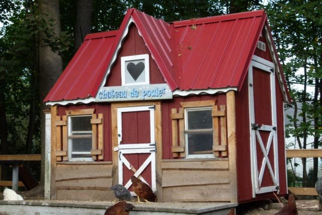 Chicken Coops That Rule the Roost