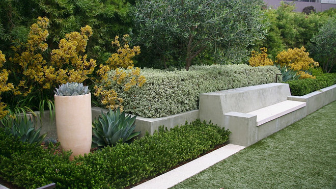 How Low Can Hedges Go? Discover Unusual Garden Borders