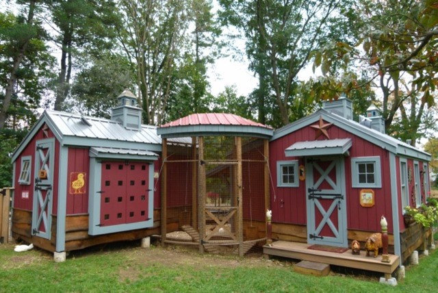 These 8 chicken coops designed by Houzz users will have you clucking 