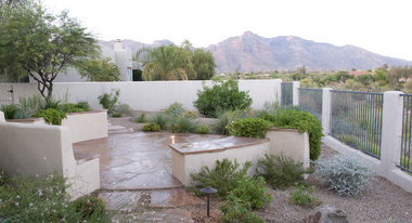 Landscaping Ideas Backyard In El Paso PDF