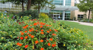 Miami Landscape Contractors