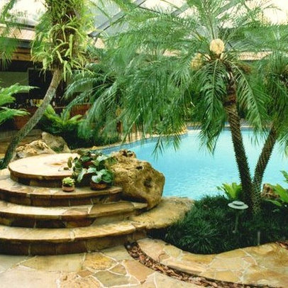 Lagoon Style Swimming Pool Design Ideas, Pictures, Remodel, and Decor