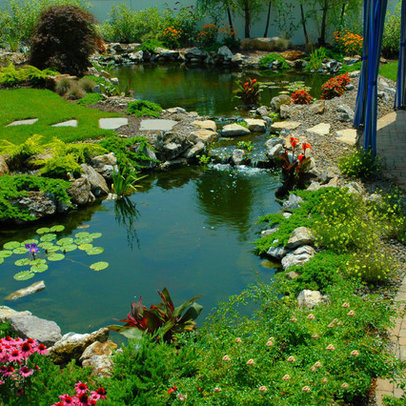 New York Home aquatic garden Design Ideas, Pictures, Remodel and Decor