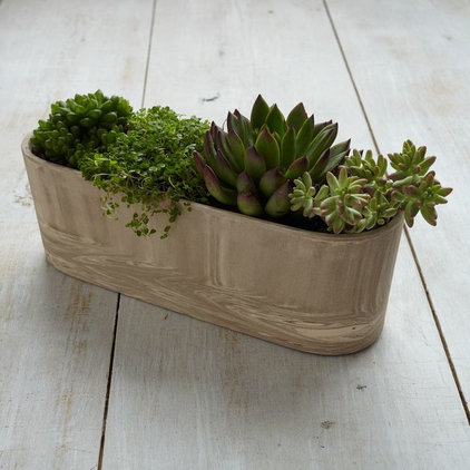 traditional outdoor planters by West Elm