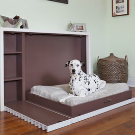 Modern Pet Accessories Design Ideas, Pictures, Remodel and Decor