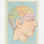 Phrenology Head Poster