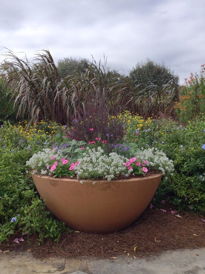 Savanna Blooms