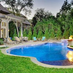 Freeform Shape Swimming Pool Design Ideas, Pictures, Remodel and Decor