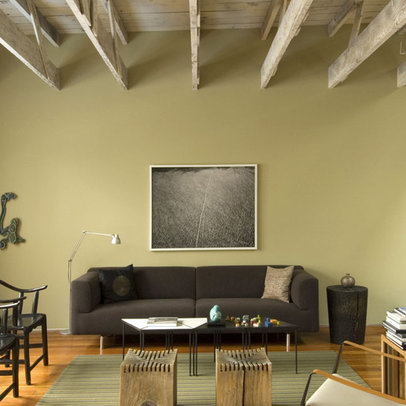 Living Room Paint Ideas on Wall Paint Color Schemes Design Ideas  Pictures  Remodel  And Decor