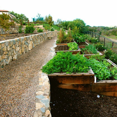  diego home vegetable garden design pictures remodel decor and ideas