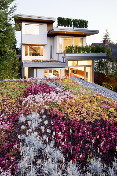Green Roofs contemporary landscape