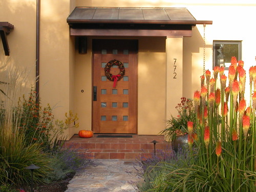 Contemporary entry door 