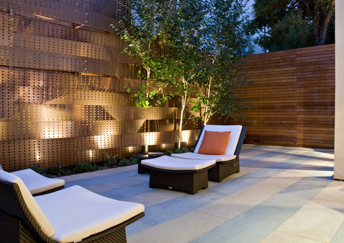 Pacific Heights contemporary patio