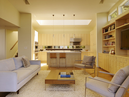 Cole Valley Hillside modern living room