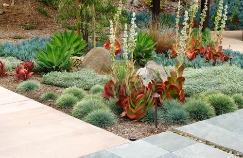 129214 0 8 6059 contemporary landscape how to tips advice
