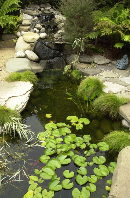 Santa Cruz Zen Garden asian landscape