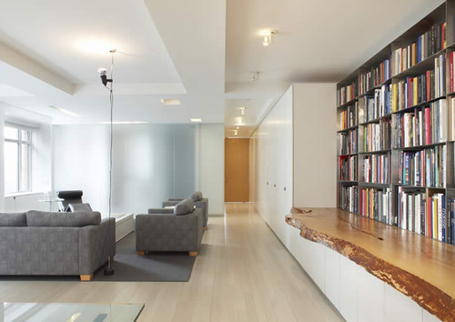 shelves for living room. modern living room by Hanrahan