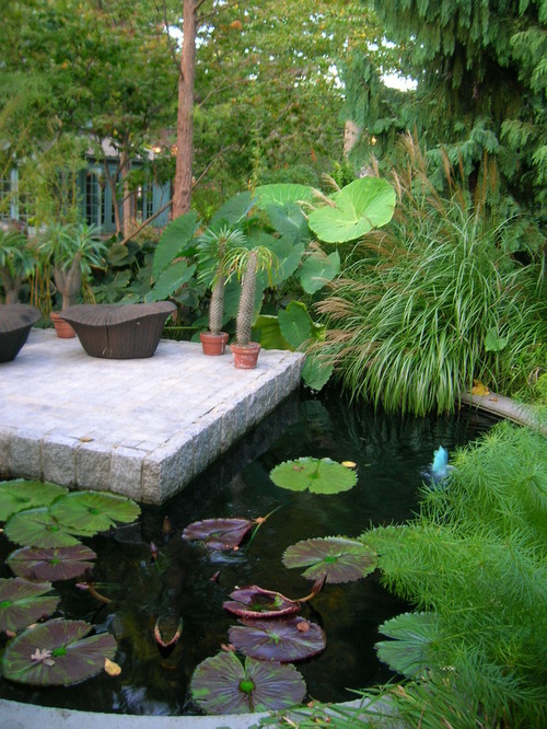 Pond eclectic landscape