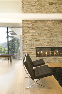 fireplace contemporary living room