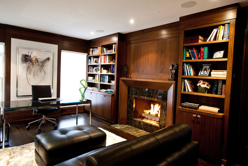 Office/Library contemporary home office