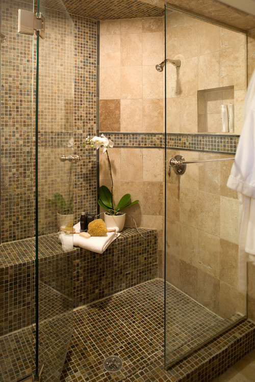 Shower contemporary bathroom