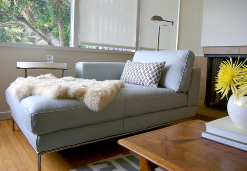 Niche Interiors: San Francisco Interior Designer modern living room