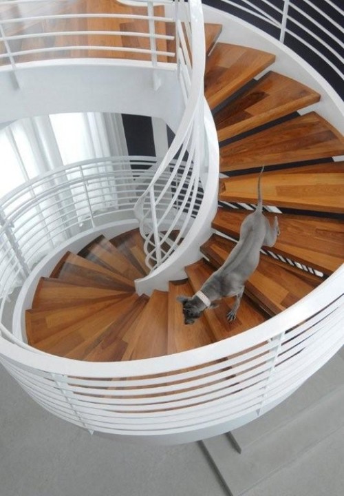 Brown Davis Interiors, Inc. contemporary staircase