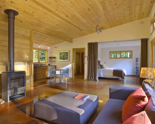 Modern Cabin modern living room