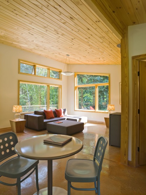Modern Cabin modern dining room